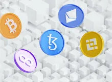 Discover the Endearing World of Sappy Seals NFTs and Immerse Yourself in Adorable Virtual Collectibles! 23