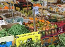 Unlock the Power of Avax NFT Marketplace for Limitless Opportunities