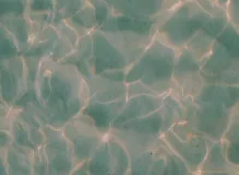 Get Stunning 4K NFT Wallpapers for Your Desktop