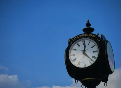 Trending NFT Scene in LA: Discover the Hottest Art and Collectibles!