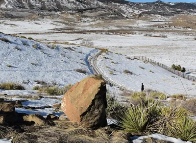 Unlock Exclusive adidas Golden Ticket NFT - Limited Time Offer!