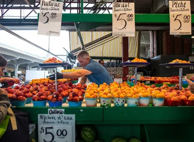 Discover the Ultimate Avalanche NFT Marketplace! Exclusive Opportunities Await!