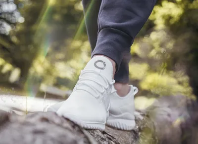 Discover the Secret World of Imaginary Ones NFT - Unleash Your Creative Fantasies Now!