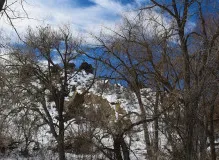 Unlock Exclusive adidas Golden Ticket NFT - Limited Edition Offer