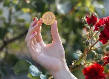 Discover the Thrilling World of NFT Trading Cards