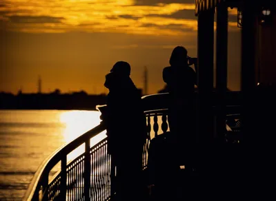 Unleash the Hidden Gems of LA's NFT Scene