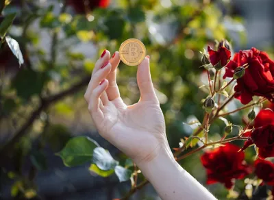 Discover the Best NFT Calendar for Exclusive Crypto Events!