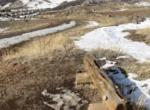 Get Your Exclusive adidas Golden Ticket NFT Today! Limited Availability