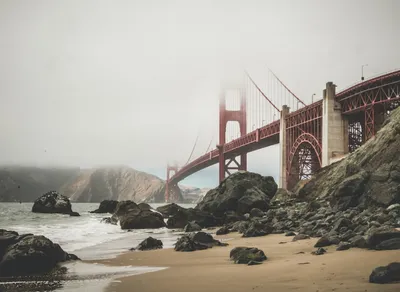 Discover the Hottest NFT Trends in San Francisco