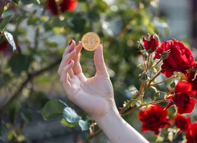 Discover the Thrilling World of NFT Trading Cards