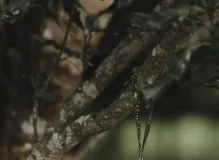 Discover the Fascinating World of NFTs: All You Need to Know!