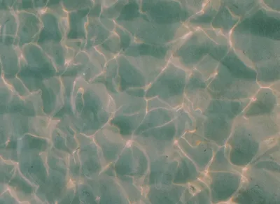 Get Stunning 4K NFT Wallpapers for Your Desktop