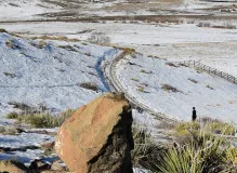 Unlock Exclusive adidas Golden Ticket NFT - Limited Time Offer!