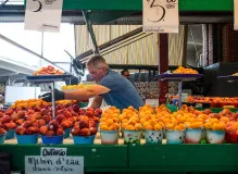 Discover the Ultimate Avalanche NFT Marketplace! Exclusive Opportunities Await!