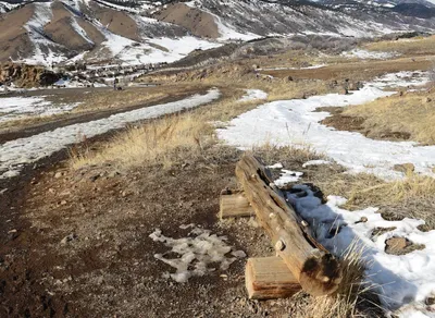 Get Your Exclusive adidas Golden Ticket NFT Today! Limited Availability