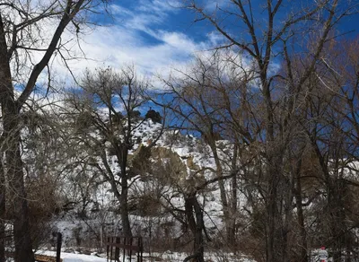 Unlock Exclusive adidas Golden Ticket NFT - Limited Edition Offer