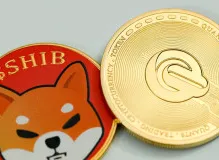 Unlock the Future of Real Estate with Highrise NFTs 13